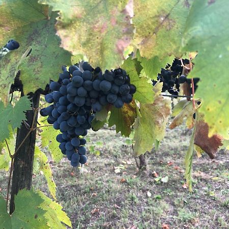 Agriturismo Beata Vanna Fabro Eksteriør bilde