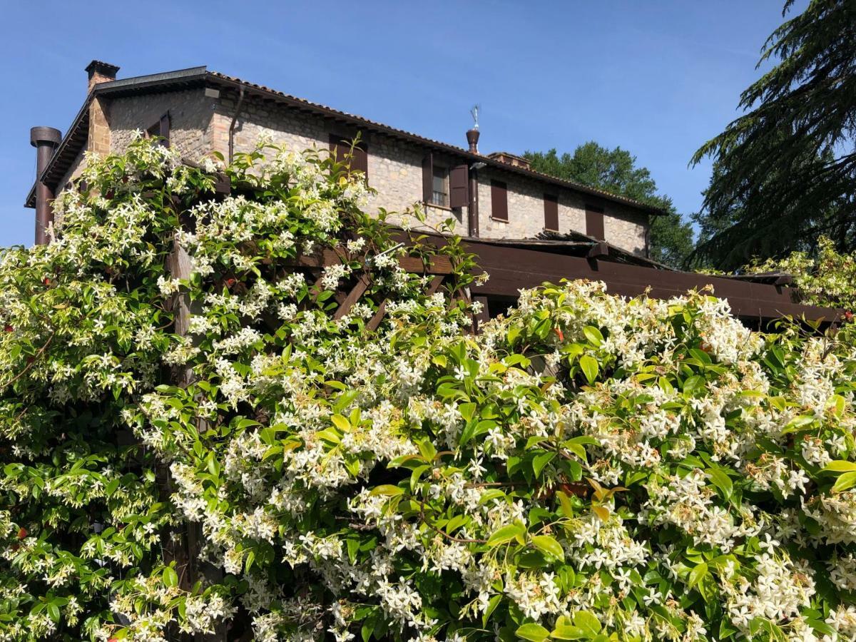 Agriturismo Beata Vanna Fabro Eksteriør bilde